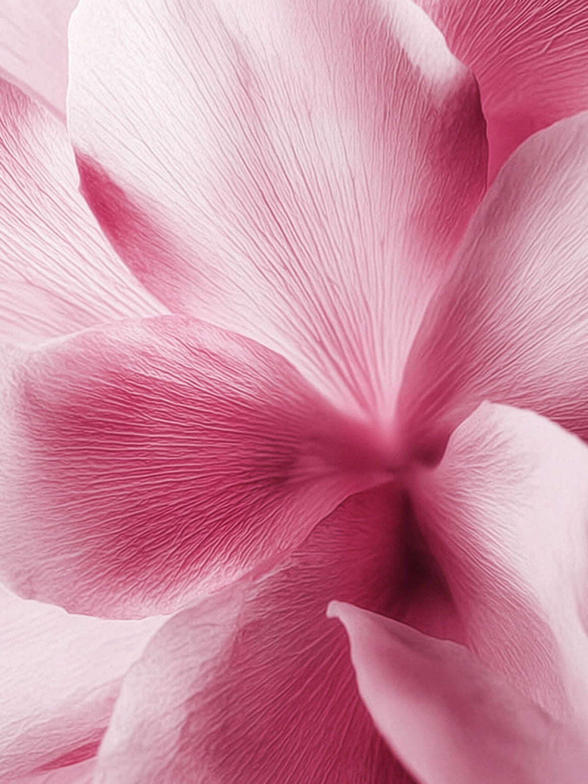 Le Duo Parfumé - Sakura & Musc Blanc